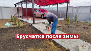 Как перезимовала брусчатка и что случилось с плиткой на крыльце