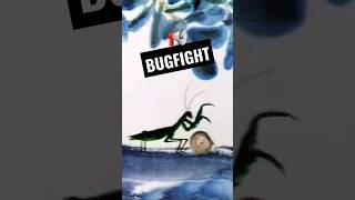 BUGFIGHT. Snail on mantis! #grindcore #powerviolence #bugs #animation