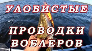 Самые МОИ РАБОЧИЕ ПРОВОДКИ для Воблеров!  Как ПРОВОДИТЬ разные типы Воблеров!