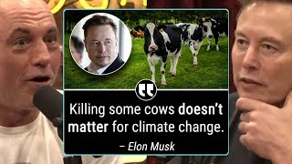 Elon Musk Says Eating Beef Does Not Effect Climate Change “IT’S NONSENSE” | Joe Rogan