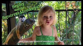 Sephy and the Spider Monkeys! 🐵