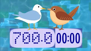 BCG 700 Seconds Countdown (Bird a Week Countdown Timer) Remix Bird Week Stage Theme