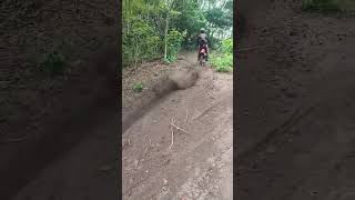 trilha dos pirados ✊🔥 #viral #trilheirosdobrasil #braap #2rodas #offroad #crf #crf230 #shortvideo