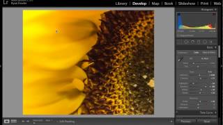 How to crop photos in Lightroom for best print tutorial