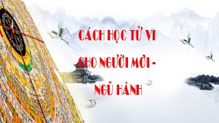 BÀI 93. CÁCH HỌC TỬ VI CHO NGƯỜI MỚI BẮT ĐẦU - NGŨ HÀNH