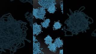 Chromosomes keep DNA organized and tidy #genes #cell #histones #mitosis #science #animation