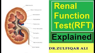 RFT | आरएफटी | Function | Risk Factor | Explained in Urdu/Hindi