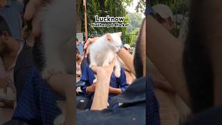 Lucknow Nakhas Pet Market #Lucknow #Lucknowcity #ytshorts #youtubeshorts #petmarket #viral