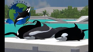 Meet The Spain's Orca pod!! -Blue Earth Aquarium Spain- (Zoo tycoon 2)