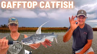 Can You EAT Gafftop Catfish? ***Catch, Clean, Cook***