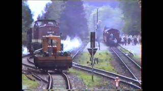 Hartz mountain Railway 1990