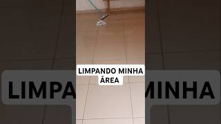 LIMPANDO MINHA ÁREA #organização #faxinanasala #limpeza #faxinanacasatoda #faxinapesada #faxina