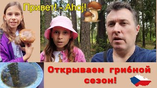 Идём искать грибы!  Жизнь в чешской деревне!