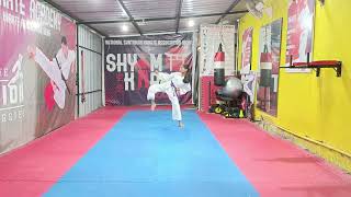 Amazing Performance of Heian Yondan Kata by Talented Young Girl in Karate