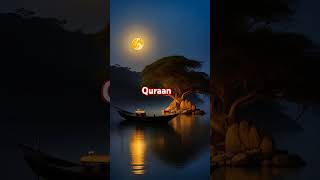 Quraan❤️#viralvideo #love #trending #shorts #shortsfeed #shortvideo #short #reels #viralshorts#islam