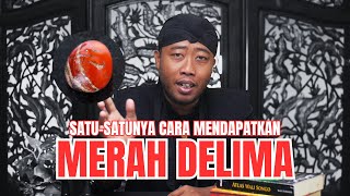 Hanya Dengan Cara Ini, Anda Bisa Dapatkan Mustika Merah Delima