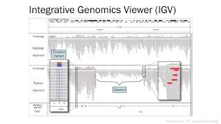 NEU19 P7 Day 3 am 09 00 Gehlenborg   Viz of genomic data