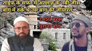 TAIF ME 1450 SAAL PURANA UTBA OR SHAIBA KE BAGE KI ZIYARAT. ताईफ में 1450 बरस पुराना बाग