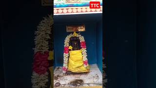 💛🙏🔥#temple #live #turbo #trending #kovil #shiv #perumal #iyappan #muruga #yt #ytviral #news #world