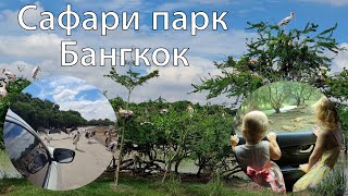 Сафари парк в Бангкоке: животные на свободе