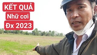 KẾT QUẢ,đan nhữ, lúa cơi.