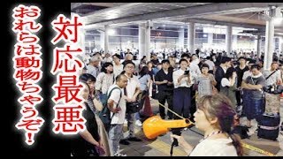 関西空港「動物ちゃうぞ！」関空孤立8000人が対応に憤り