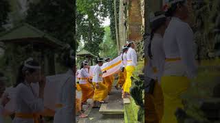 Beauty of Bali ✨ #balinese #baliceremony #balineseculture