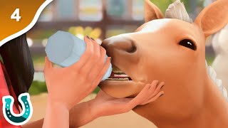 o POTRO NASCEU!!!! 🤠 l the sims 4 tomando as rédeas