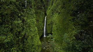 Waterfall in Hawaii.