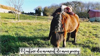 ROUTINE DE MON PETIT PONEY 😍