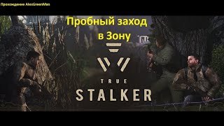 True Stalker Пробный заход в Зону