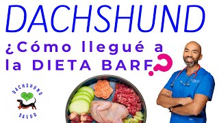 ¿CÓMO LLEGUE A LA ALIMENTACIÓN NATURAL DE PERROS SALCHICHAS?