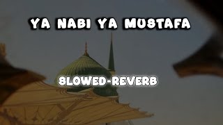 Ya Nabi Ya Mustafa | New Naat Sharif | Slowed Reverb | Tabrej Official 313