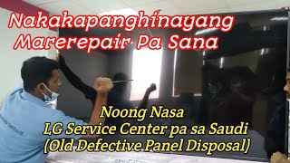 Noong Nasa LG Pa Ako / Panel Disposal