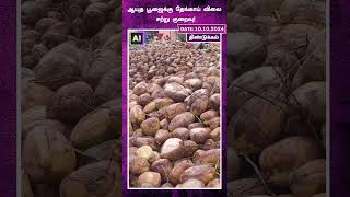 ஆயுத பூஜைக்கு தேங்காய் விலை சற்று குறைவு! | Dindugal | Coconut | Pooja Season |