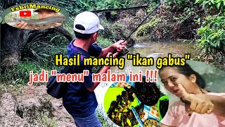 Hasil mancing"ikan gabus"jadi"menu"malam ini @FebriMancing