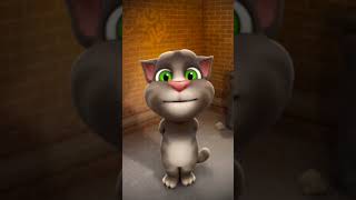 #cat #bollywoodmusic #music #comedy #funny #talkingtom #ma #hindisong