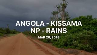 Angola -  Kissama NP : Rains & Wilderbeest