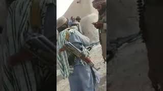 طالبان  taliban   زبیر پهلوان