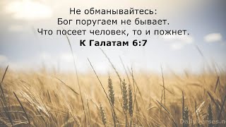 Не судите и не будете судимы#бог #вера #религия #судбожий