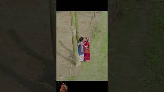 maroon colour sareeya #bhojpuri #song #dineshlalyadav #amrapalidubey #trendingsong #viralvideo