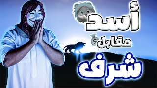 7-قصص ماجد(الأسد يشتري شرف 🦁💵 )