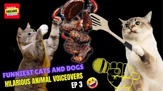 Ep 3: Funniest Cats and Dogs Hilarious Animal Voiceovers Compilation  | DigitalDreamsStudios