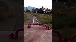 FXE train run over dog in his way on tracks