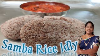 Mapillai Samba Rice Idly | உடலுக்கு வலிமை சேர்க்கும் மாப்பிள்ளை சம்பா அரிசி இட்லி@Goms_World