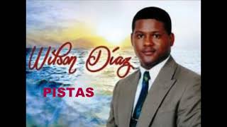 WILSON DIAZ: noche y dia pistas