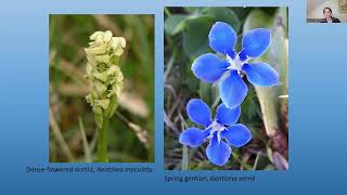 Burren Grassland Habitats with Maria Long