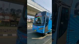 Bus Patas Nusantara Jogja Kudus #shorts #patas #nusantara nusa