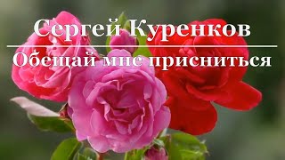 Сергей Куренков - Обещай мне присниться