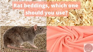 Rat bedding options | which rat bedding is the best? | safe and unsafe rat beddings